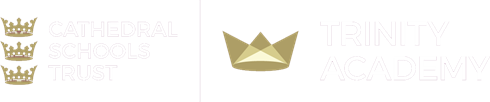 Trinity Temp Logos